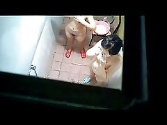 Luna amp; friends 483