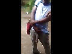 Kuriame arklių Gaidys už sluts