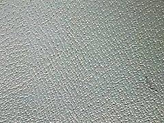 Žvelgiant į #01 sporto salėje